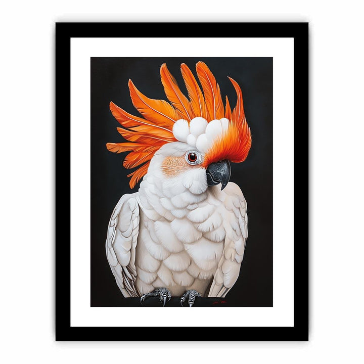 Cockatoo 23  Art Print