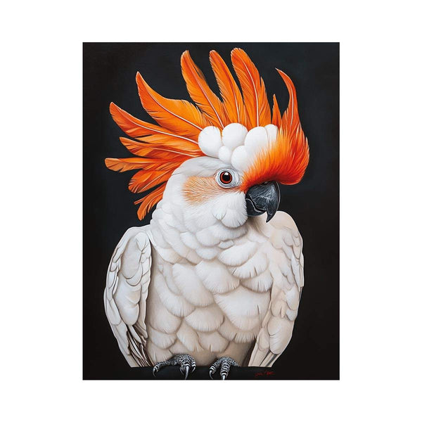 Cockatoo 23