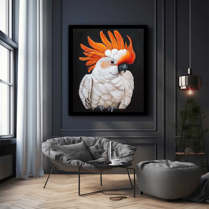 Cockatoo 23 