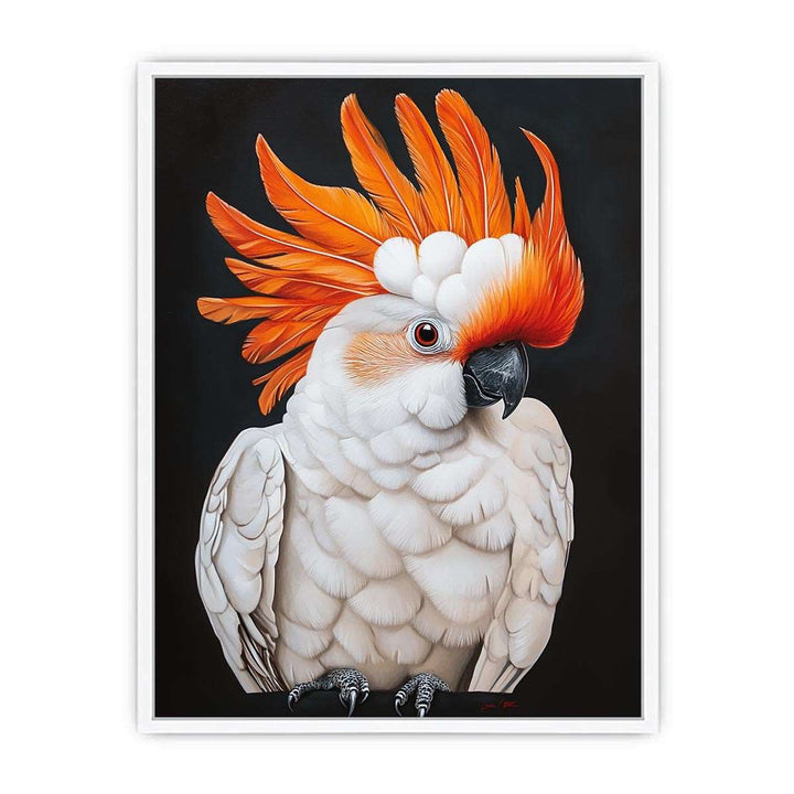 Cockatoo 23 Framed Print