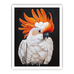 Framed print