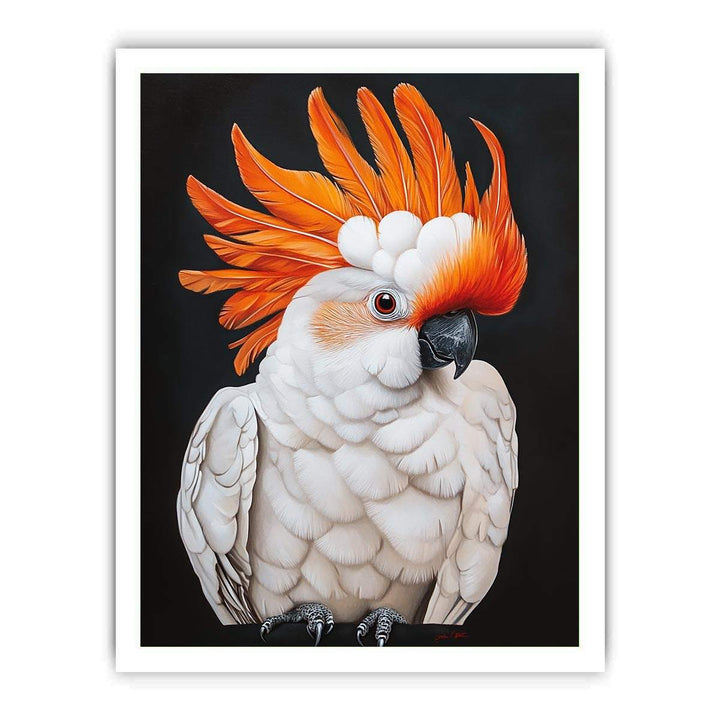 Framed print