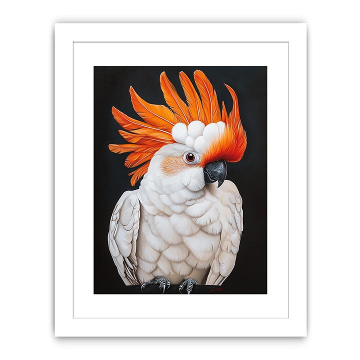 Cockatoo 23 Streched canvas