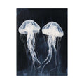jellyfish  black and white