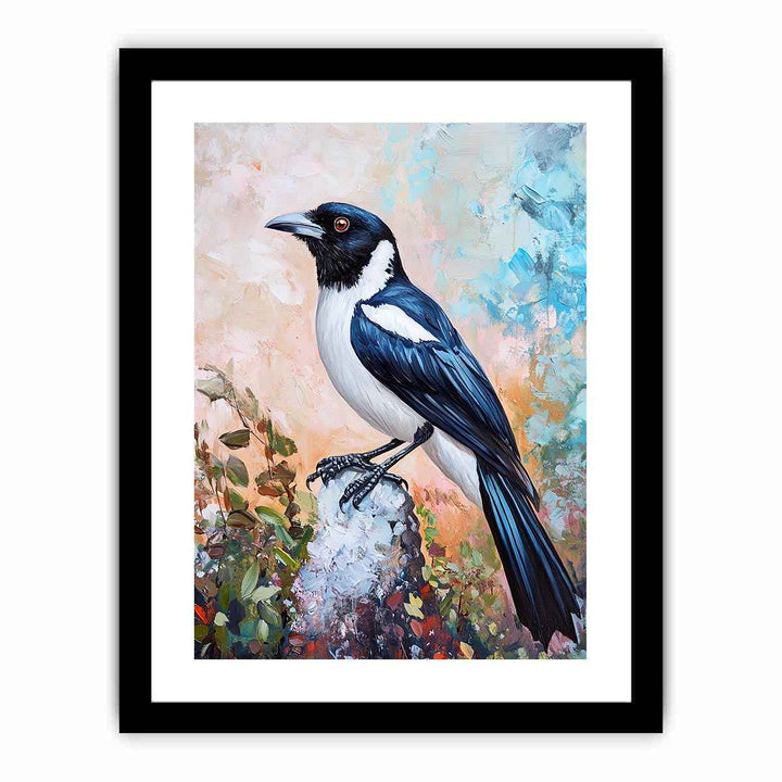 Australian Magpie Art  Art Print