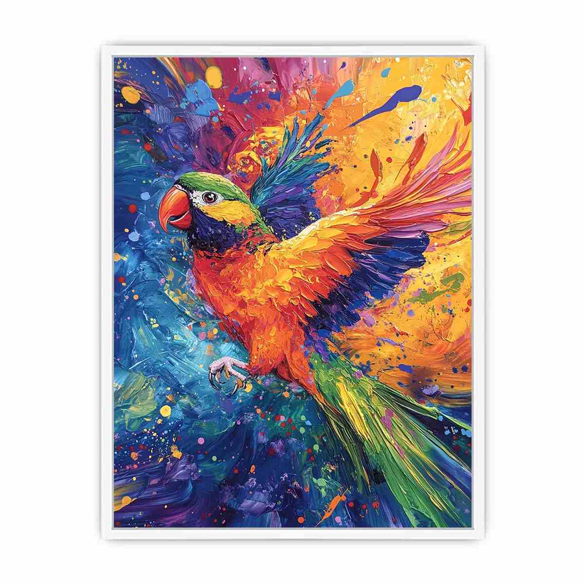 Rainbow Lorikeet Framed Print
