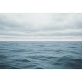 Cool Ocean 