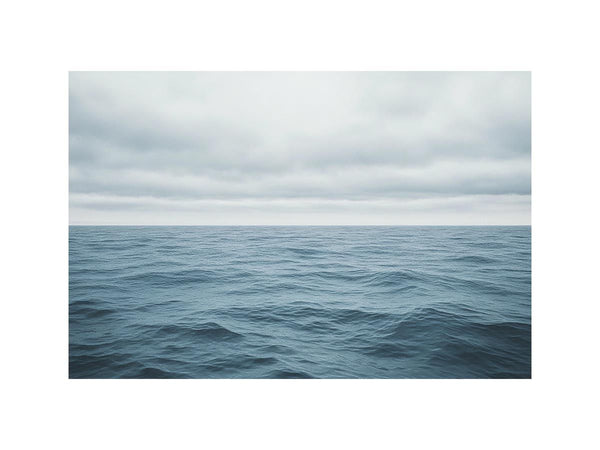 Cool Ocean 