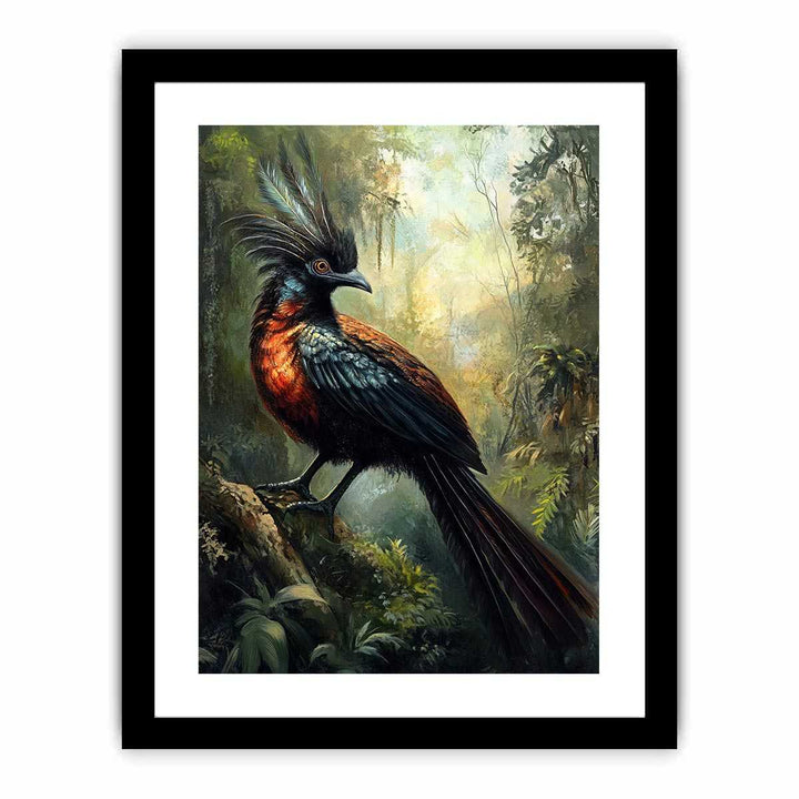 Lyrebird  Art Print