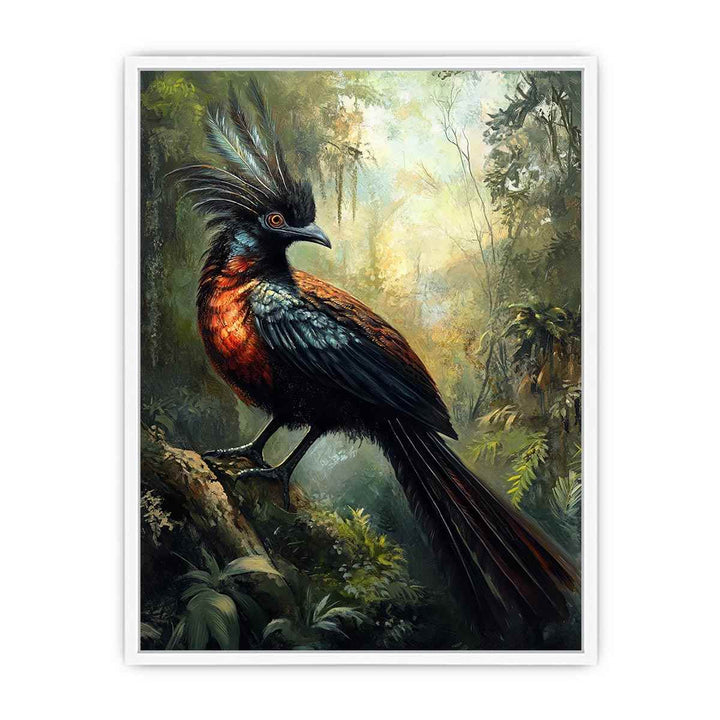 Lyrebird Framed Print