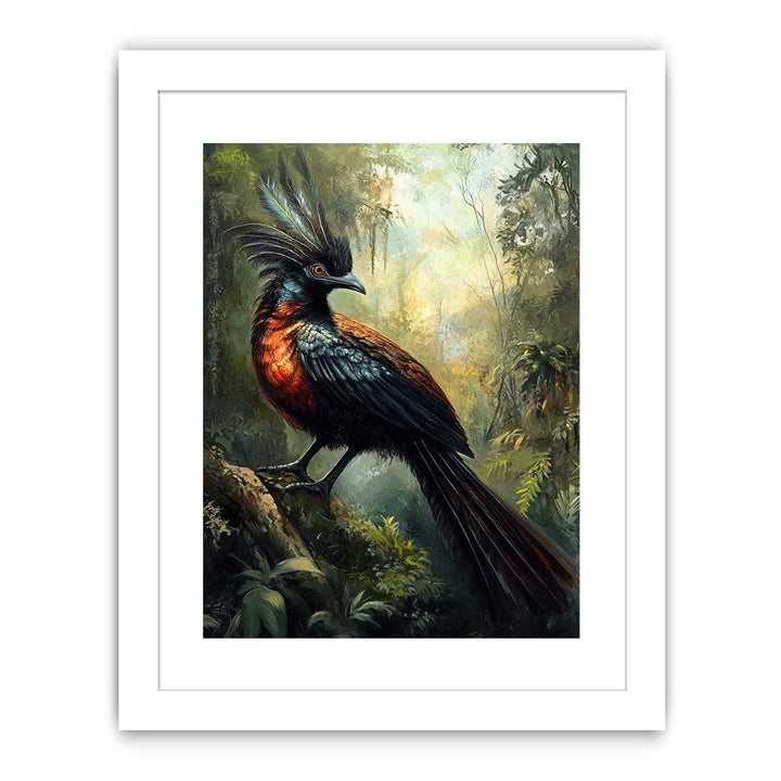 Lyrebird Streched canvas