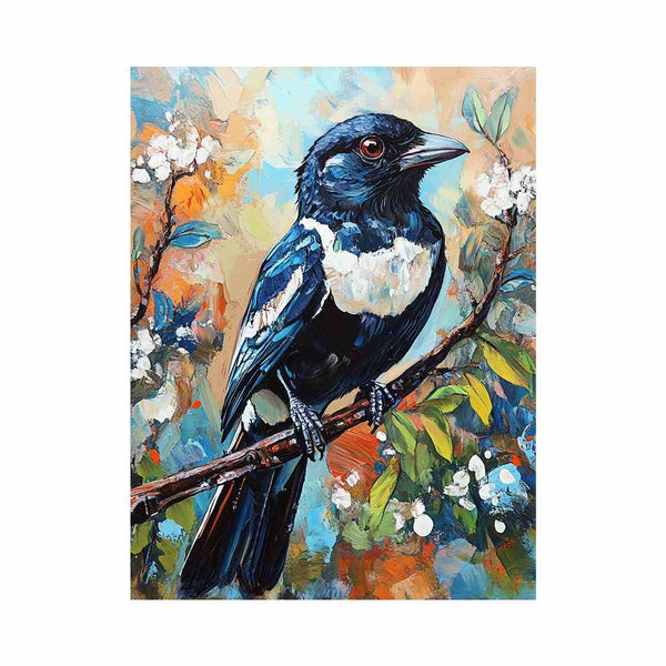 Australian Magpie
