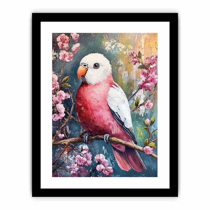Galah  Art Print