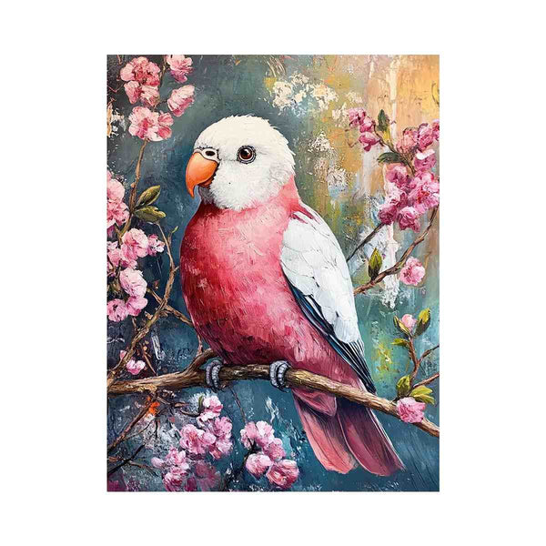 Galah