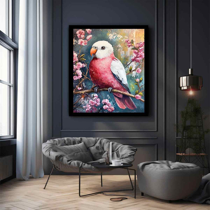 Galah 