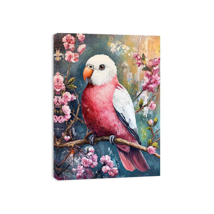 Galah Canvas Print