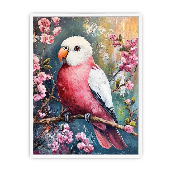 Galah Framed Print