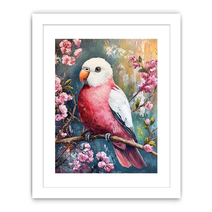 Galah Streched canvas