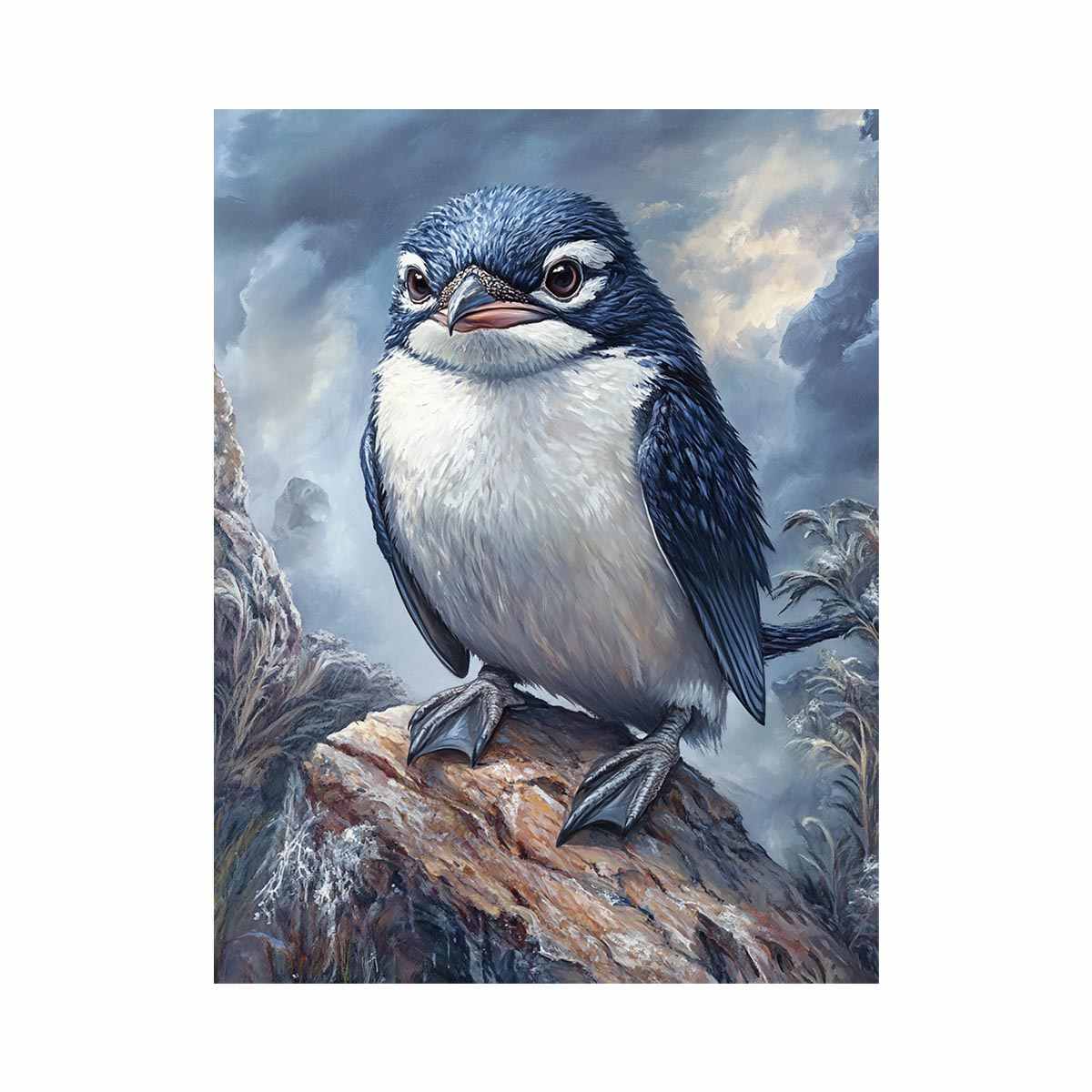 Fairy Penguin (Little Penguin)