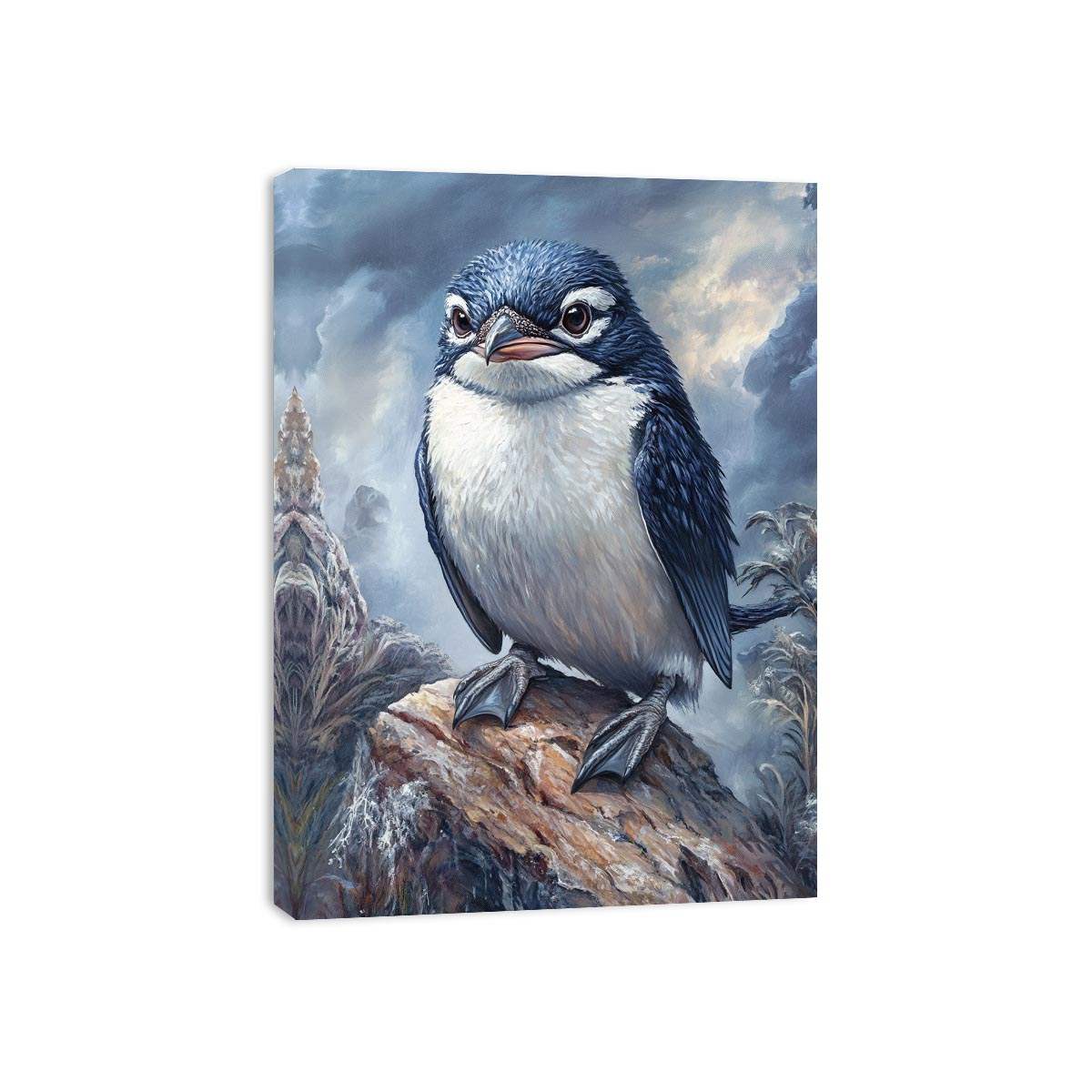 Fairy Penguin (Little Penguin) Canvas Print