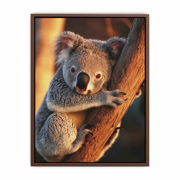 Koala  Poster
