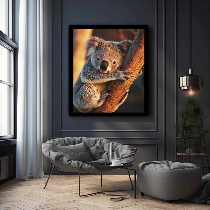 Koala 
