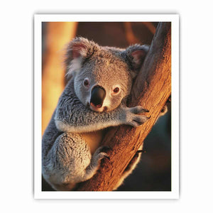 Framed print