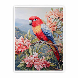 Rosella Framed Print