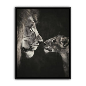 Playful Lion  Painting