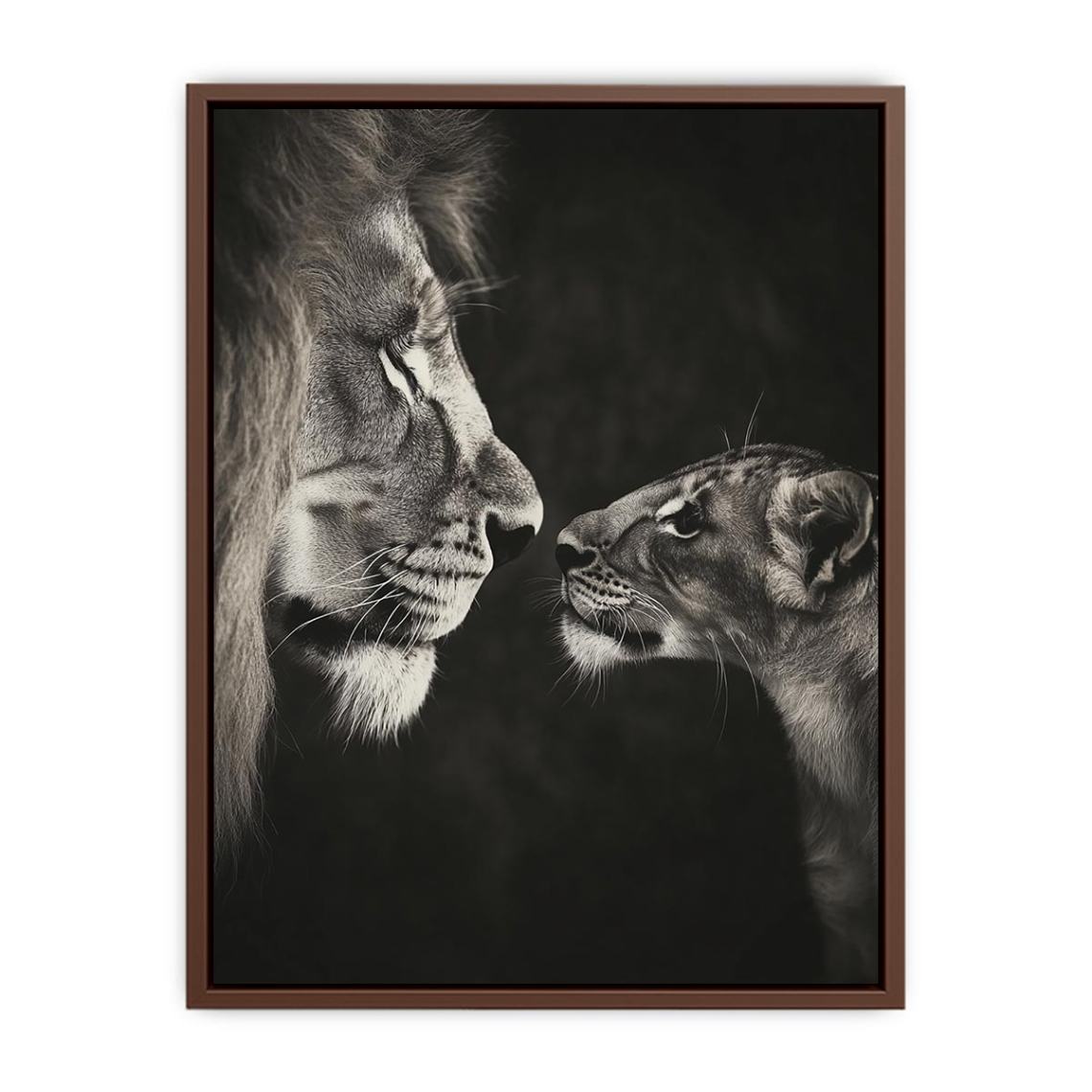Playful Lion  Poster
