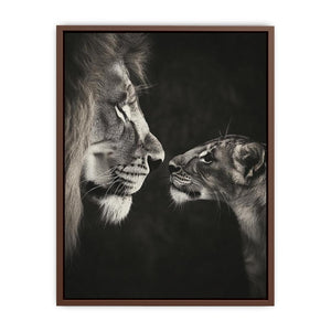 Playful Lion  Poster