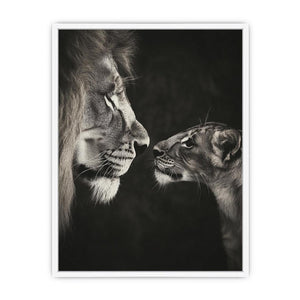 Playful Lion Framed Print