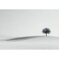 The Lonely Tree