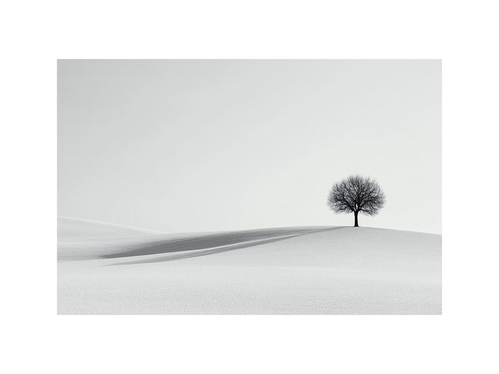 The Lonely Tree
