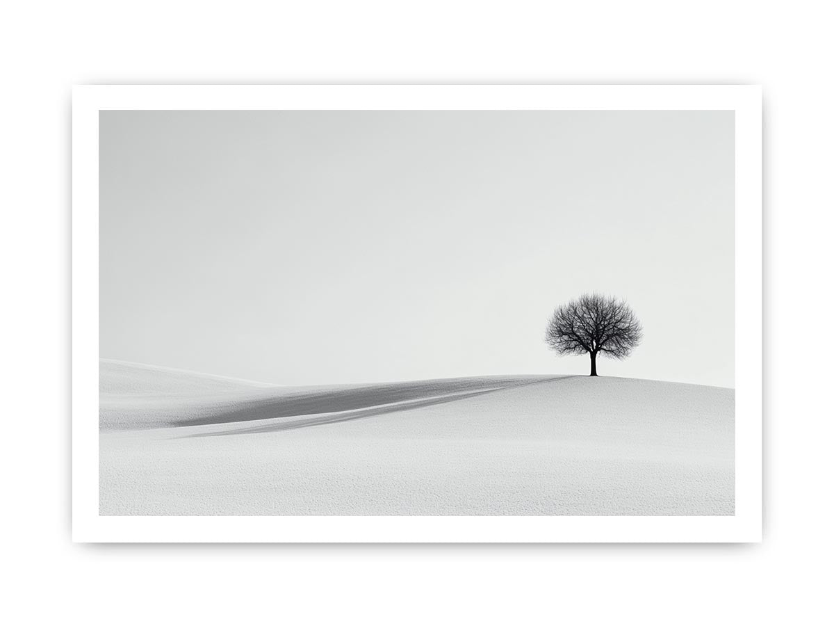 Framed print