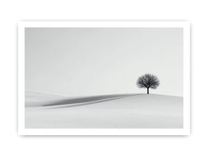 Framed print