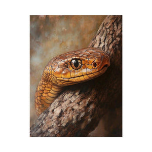 Eastern Brown Snake