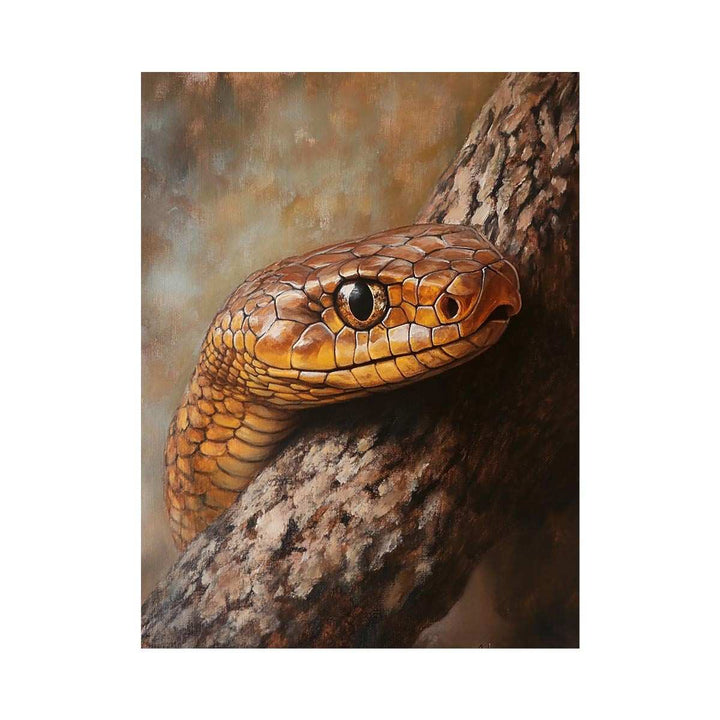 Eastern Brown Snake