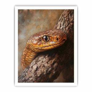 Framed print