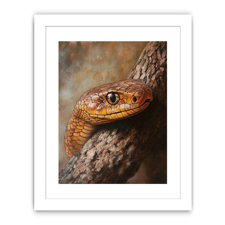 Eastern Brown Snake Streched canvas