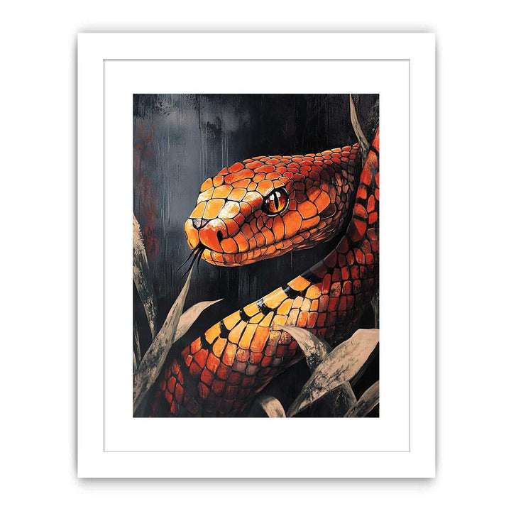 Inland Taipan (Fierce Snake) Streched canvas
