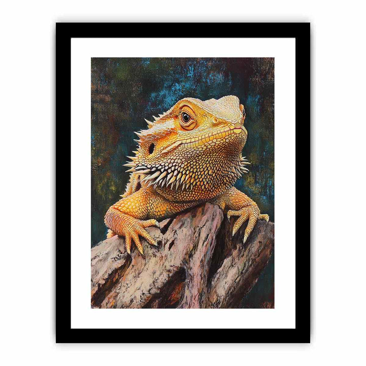 Bearded Dragon  Art Print