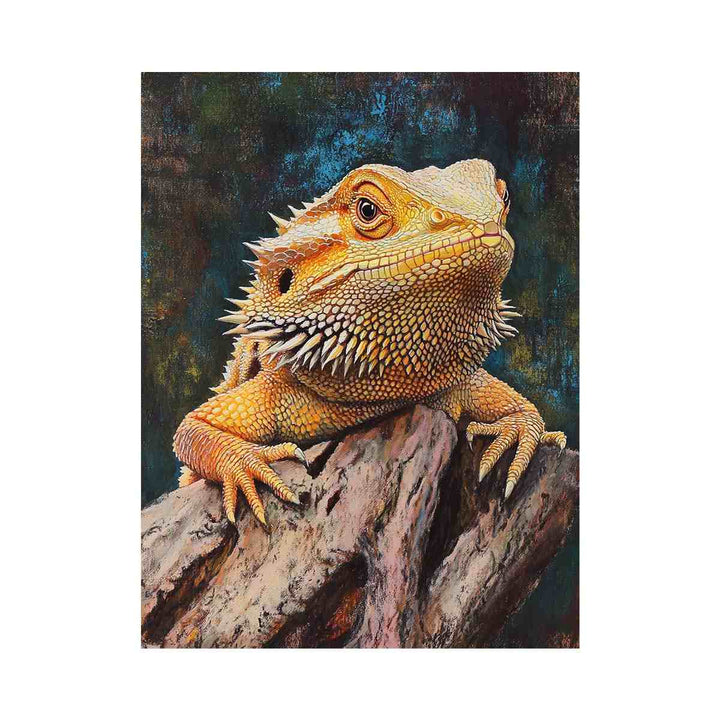 Bearded Dragon