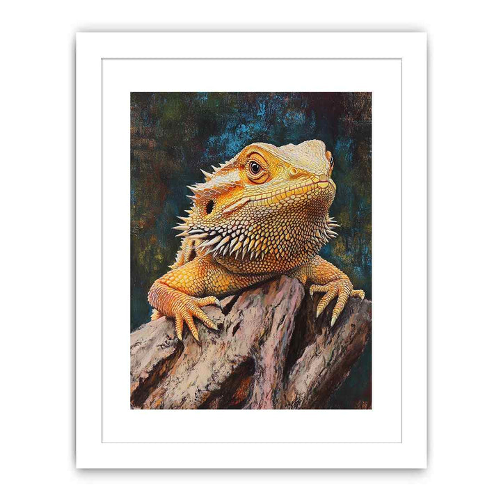 Bearded Dragon Streched canvas