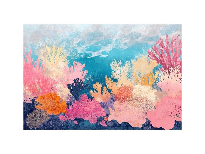 rainforests of the sea