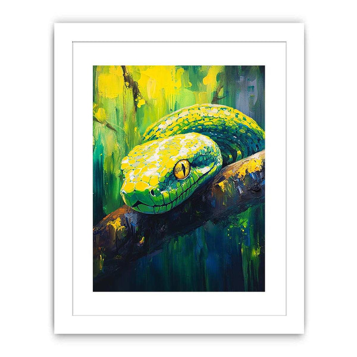 Green Tree Python Streched canvas