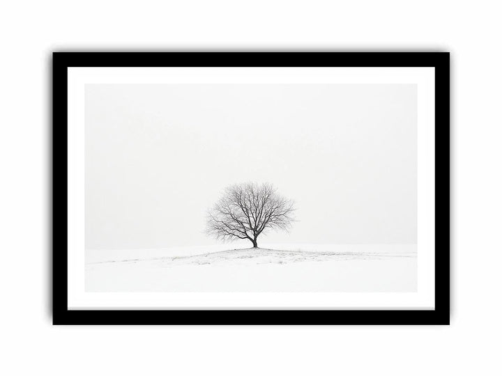 isolated Tree 11  Art Print