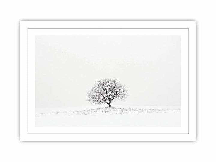 isolated Tree 11 Streched canvas