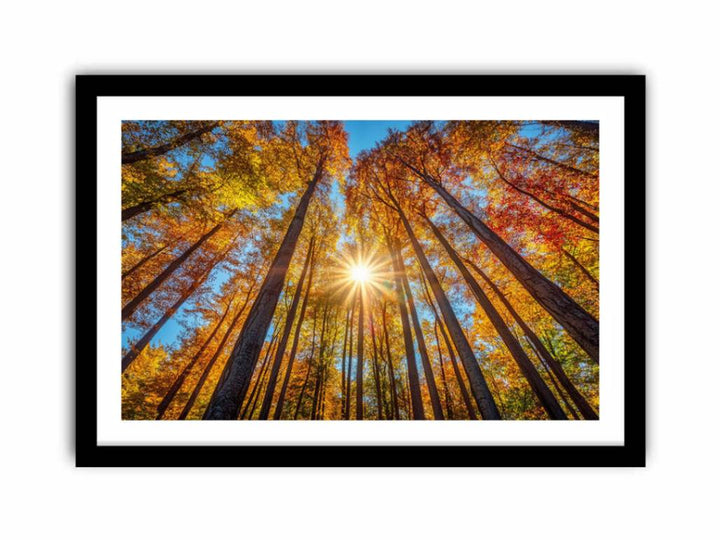 Sunshine 11  Art Print