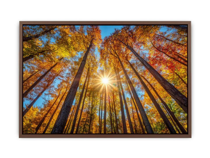 Sunshine 11  Poster